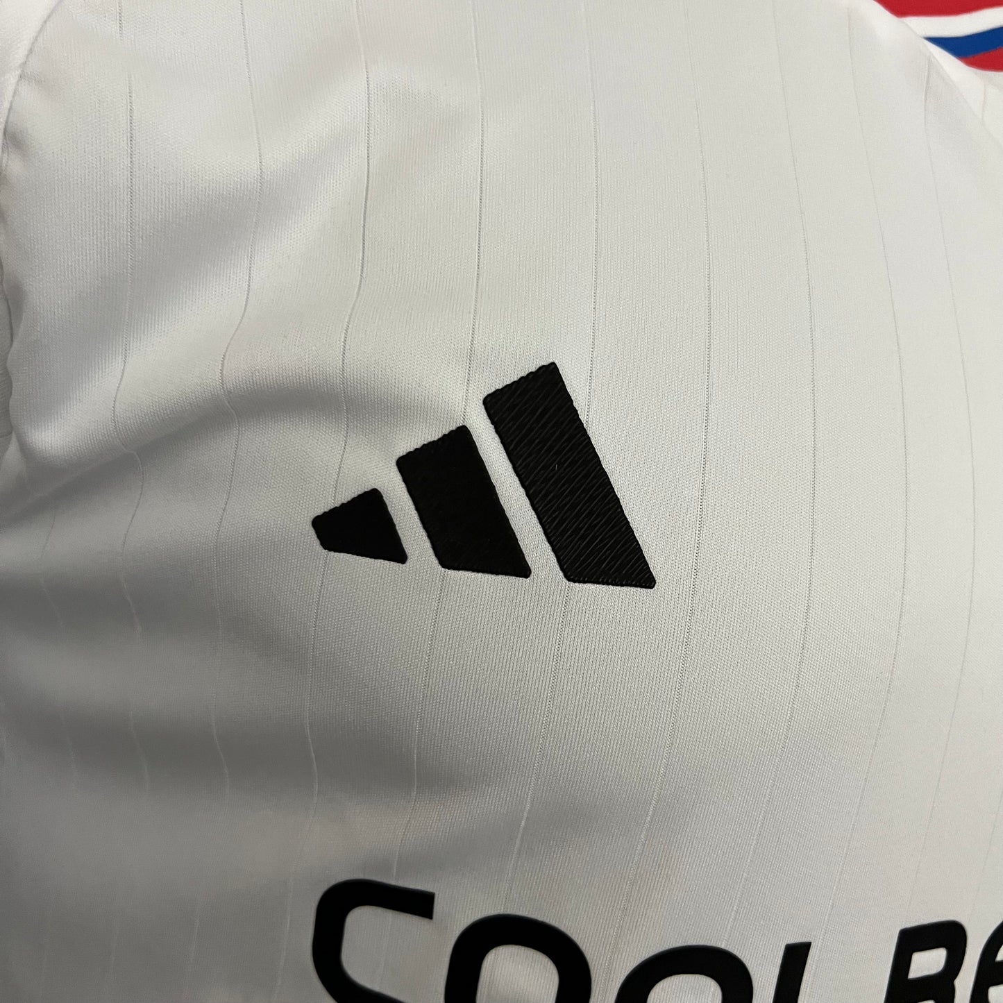 Colo Colo 23/24 Home