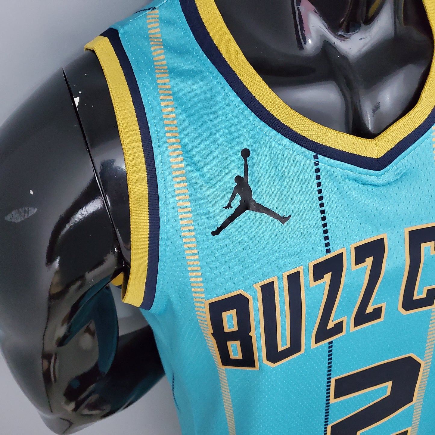 Charlotte Hornets Light Blue | Buzz City