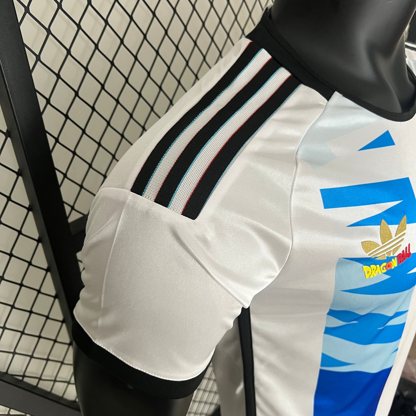 Argentina Special Edition 2024 | Player Version