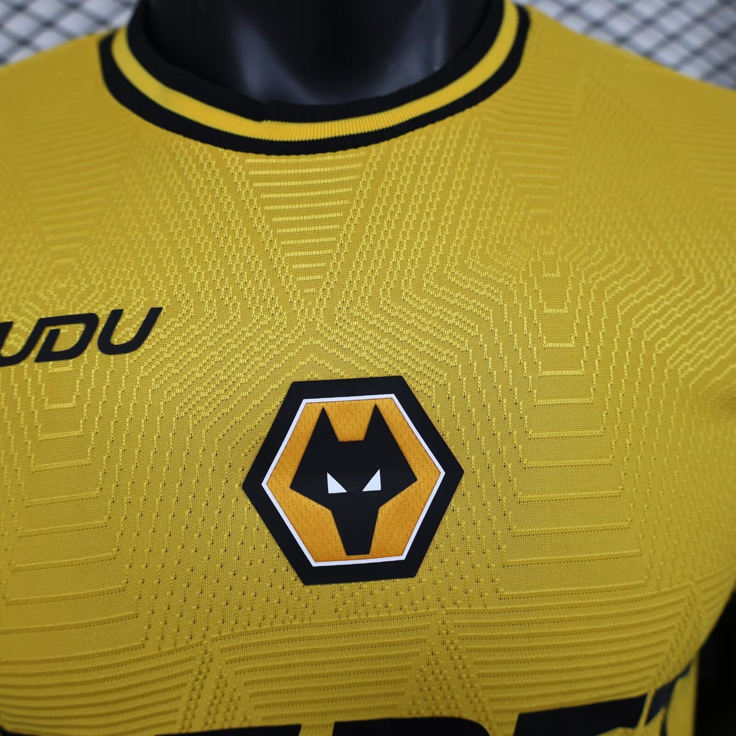 Wolves Home 24/25 Player Version