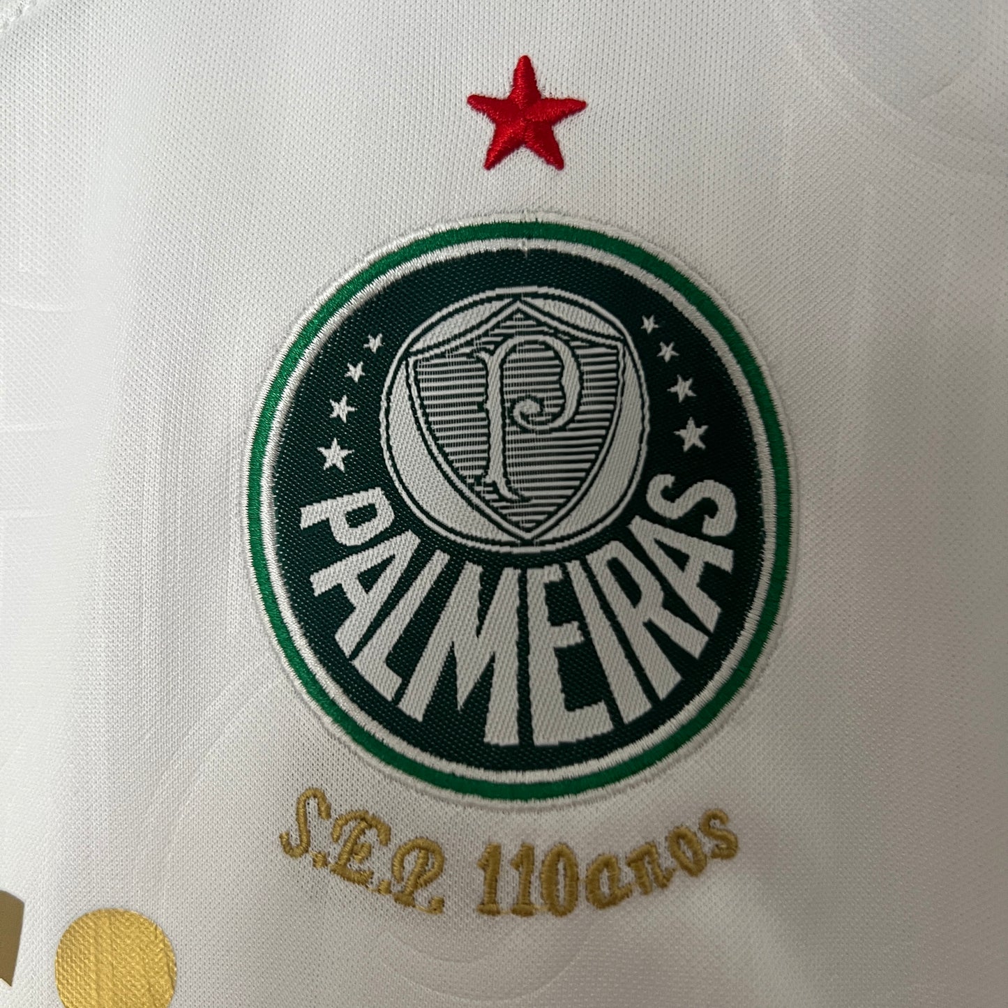 Palmeiras Away 2024