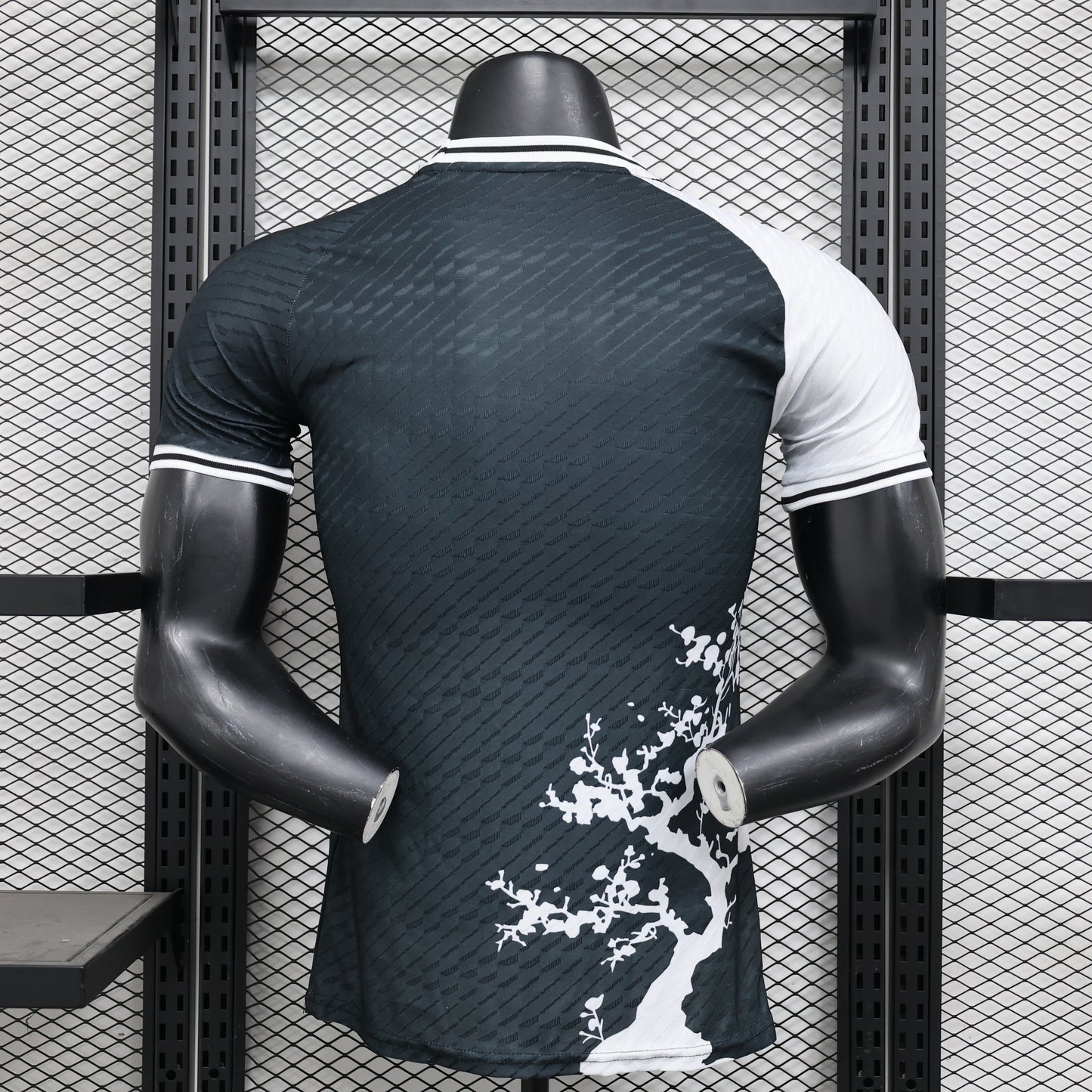 Japan Special Edition 2024
