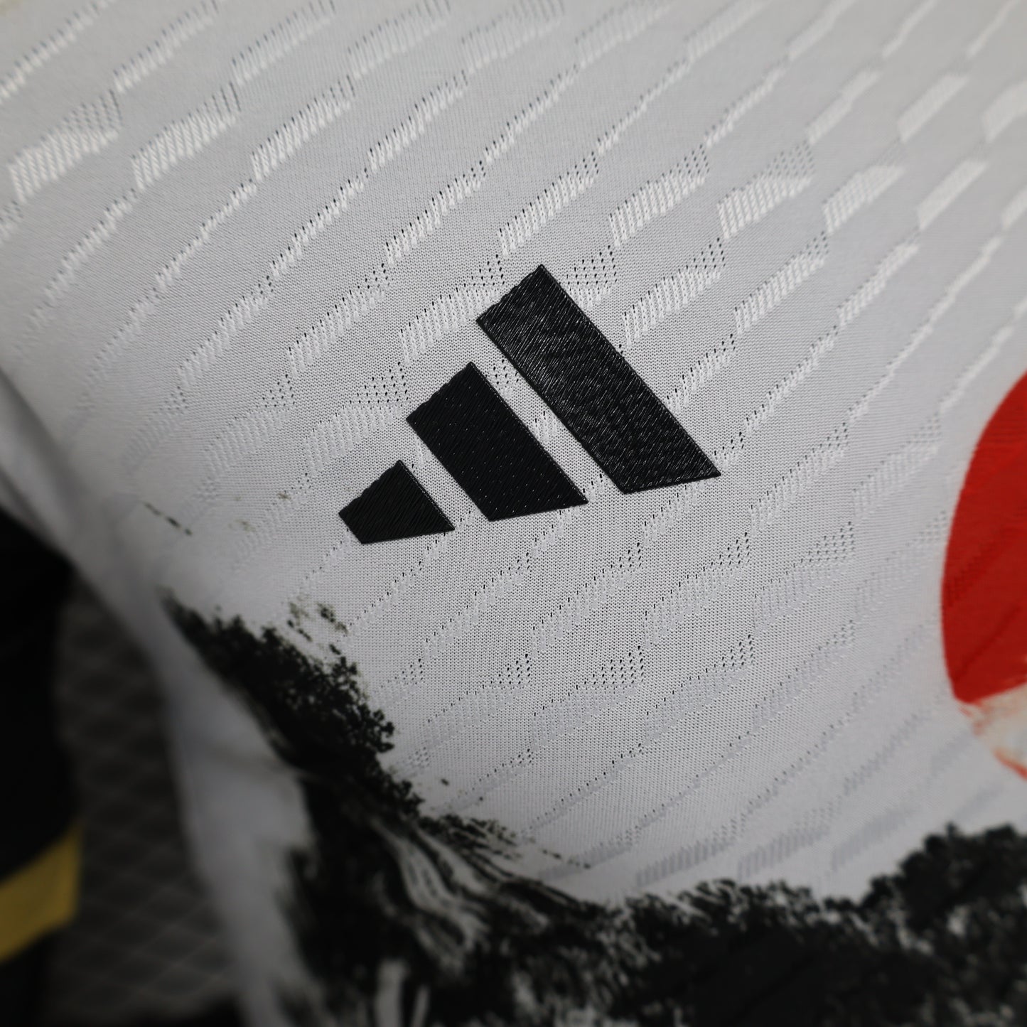 Japan Special Edition 2024 V