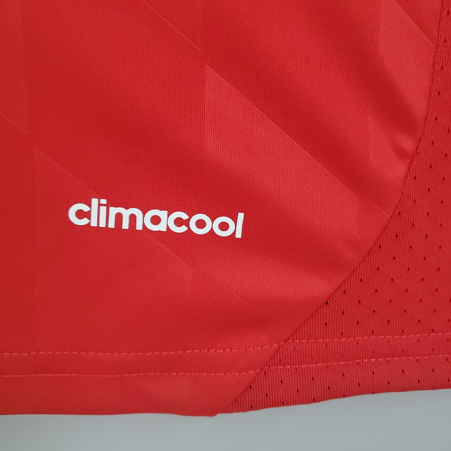 Bayern Munich 13/14 Champions League home