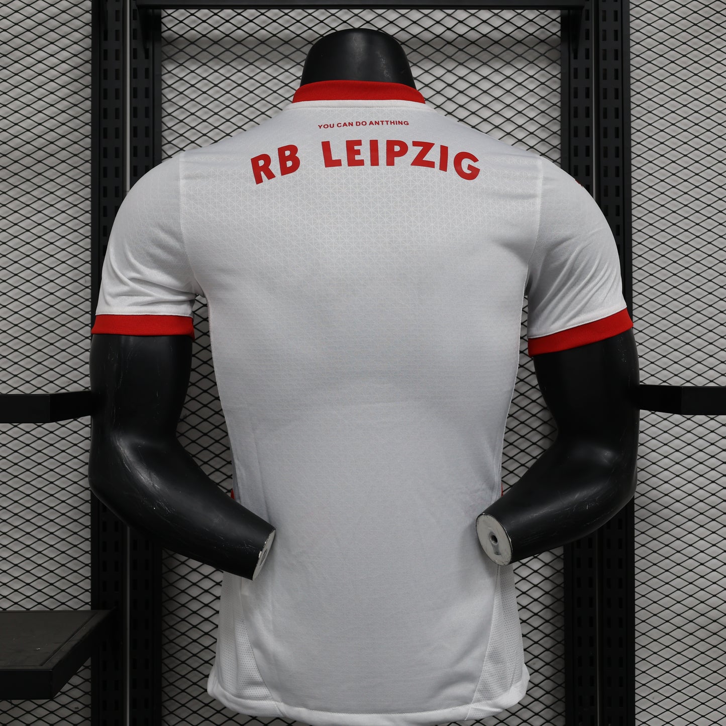Leipzid Home Player Version 24/25