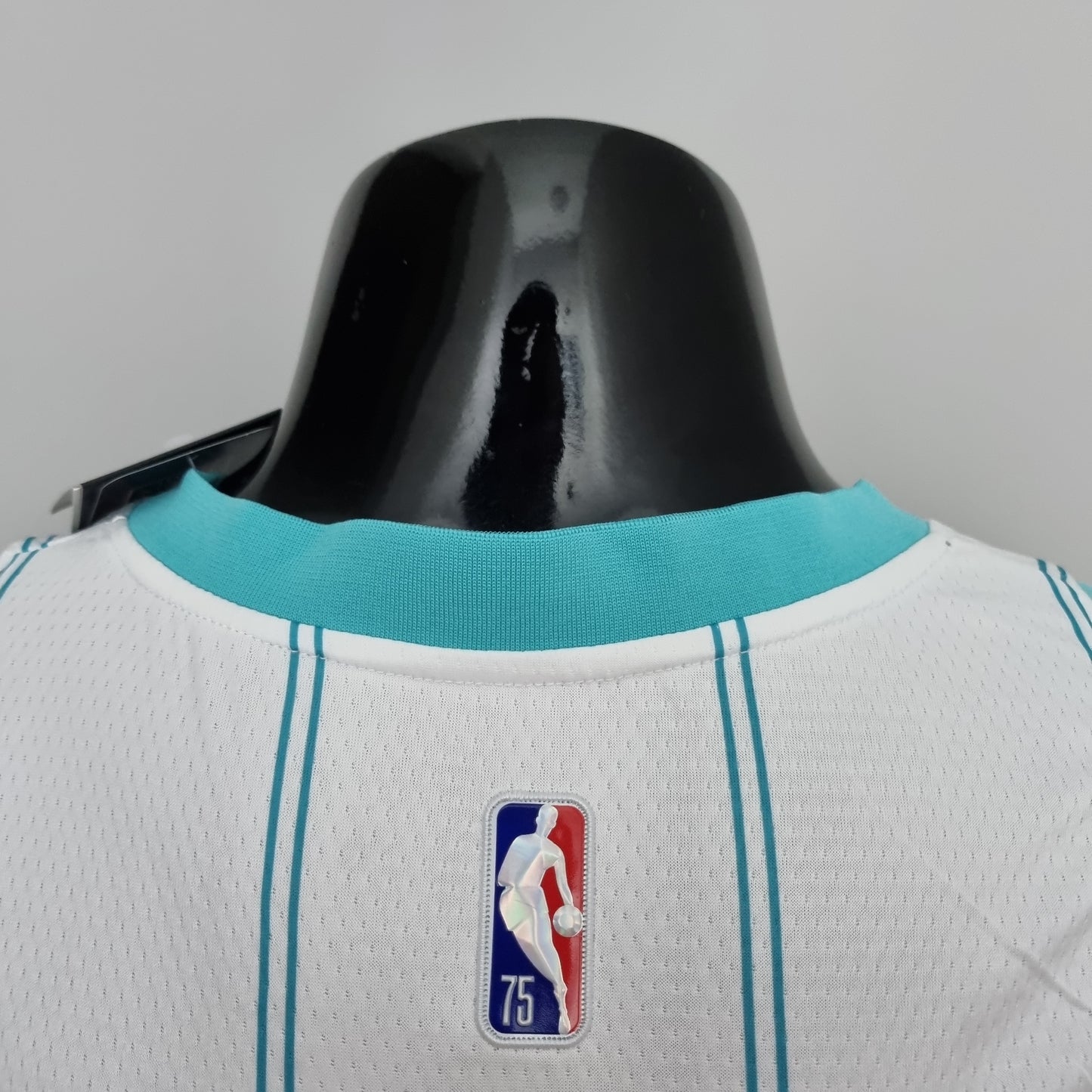 Charlotte Hornet White | 75th Anniversary