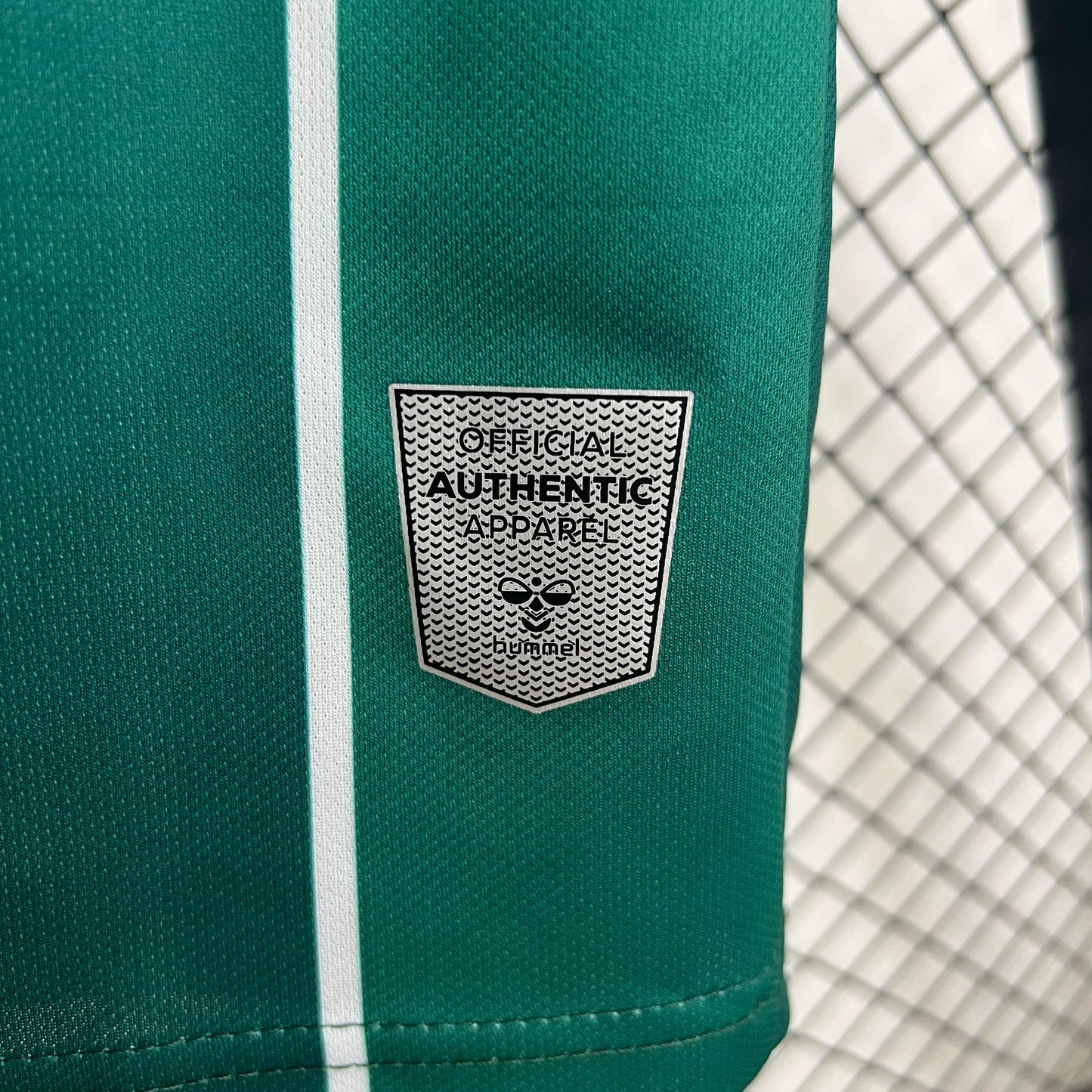 Werder Bremen 25/26 Home