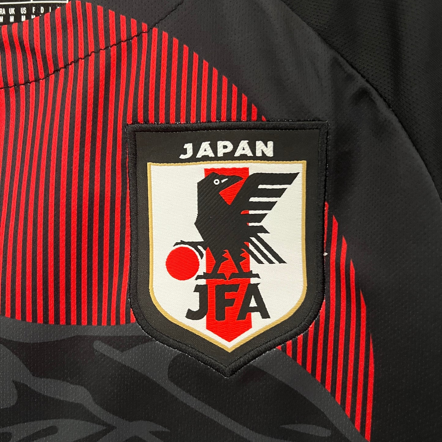 Japão Edição Especial 2024