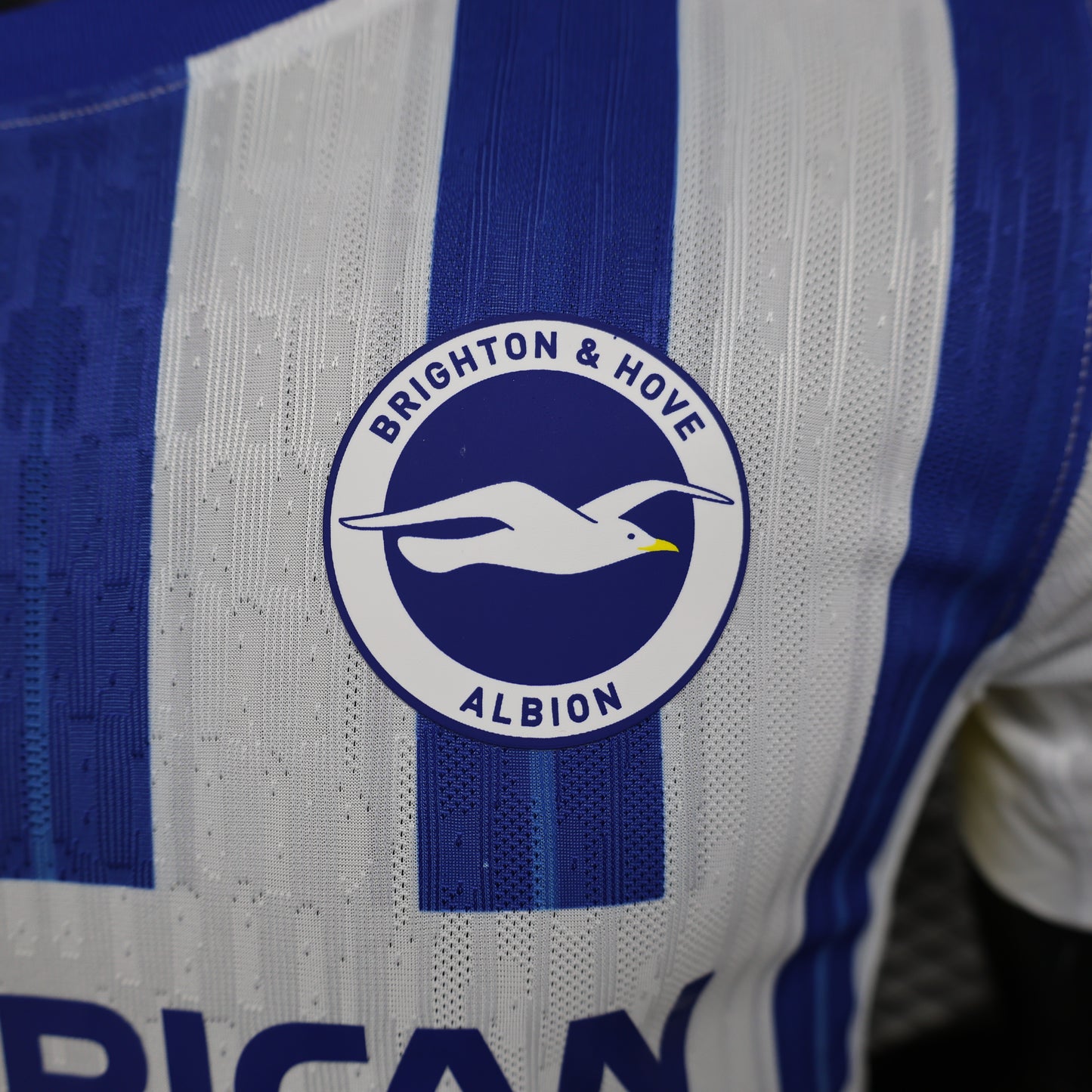 Brighton Home 24/25