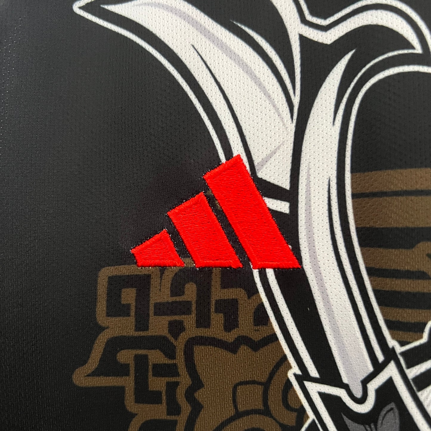 Japão Edição Especial 2024