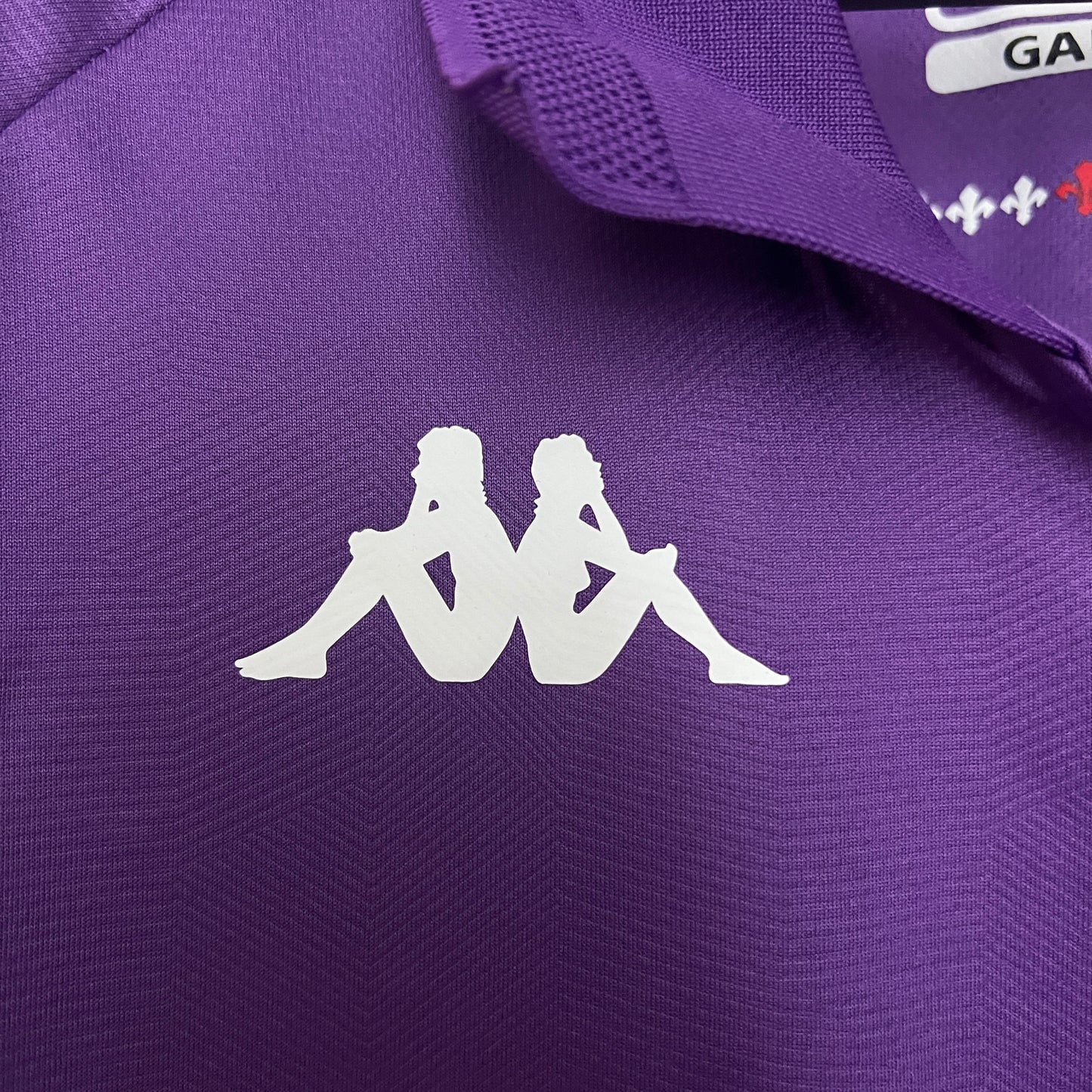 Fiorentina Home 24/25