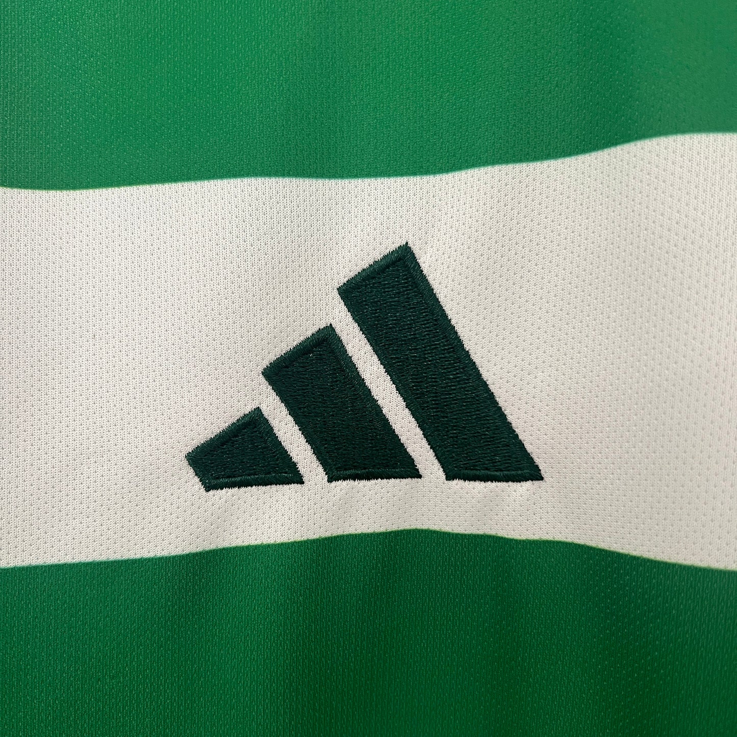 Celtic 24/25 Home