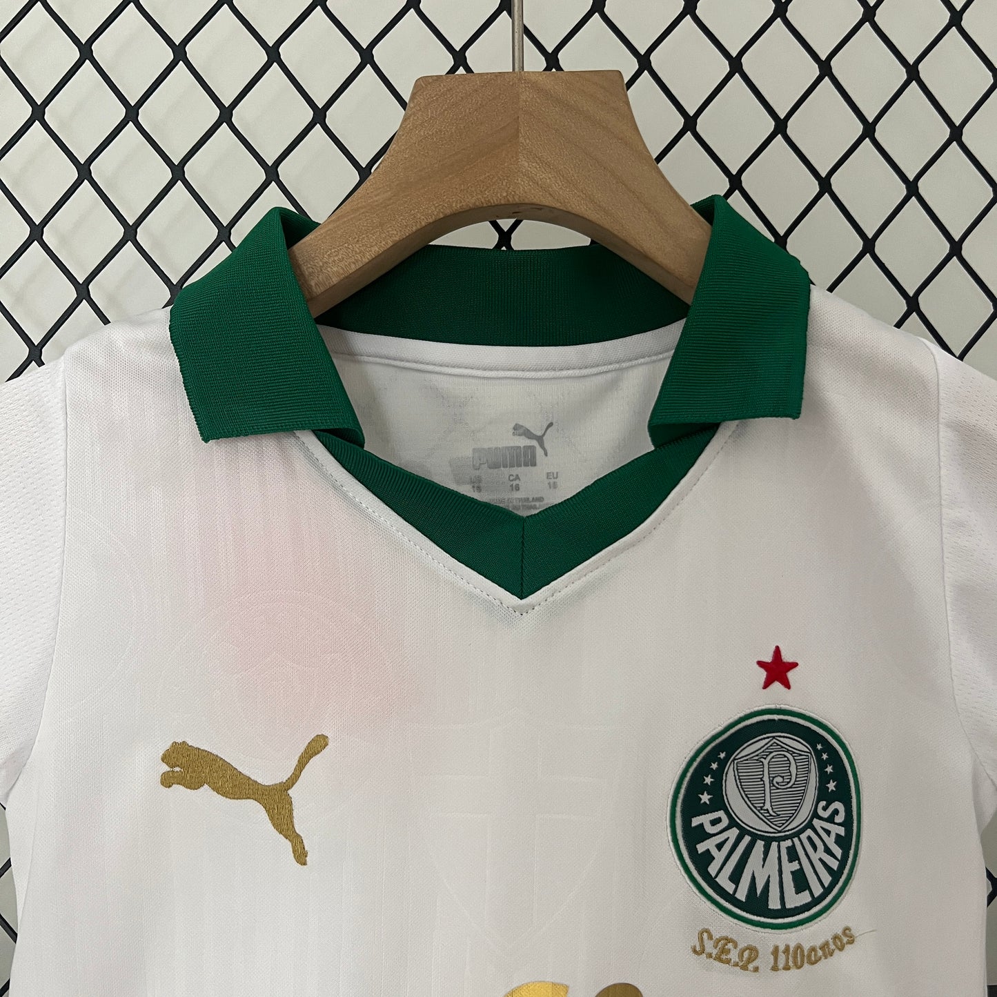 Palmeiras Away 2024