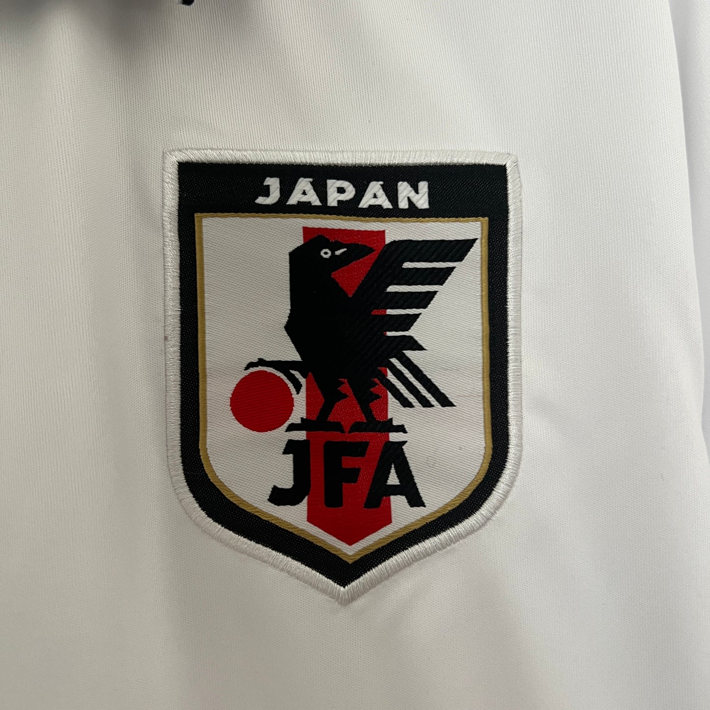 Japão Edição Especial 2024