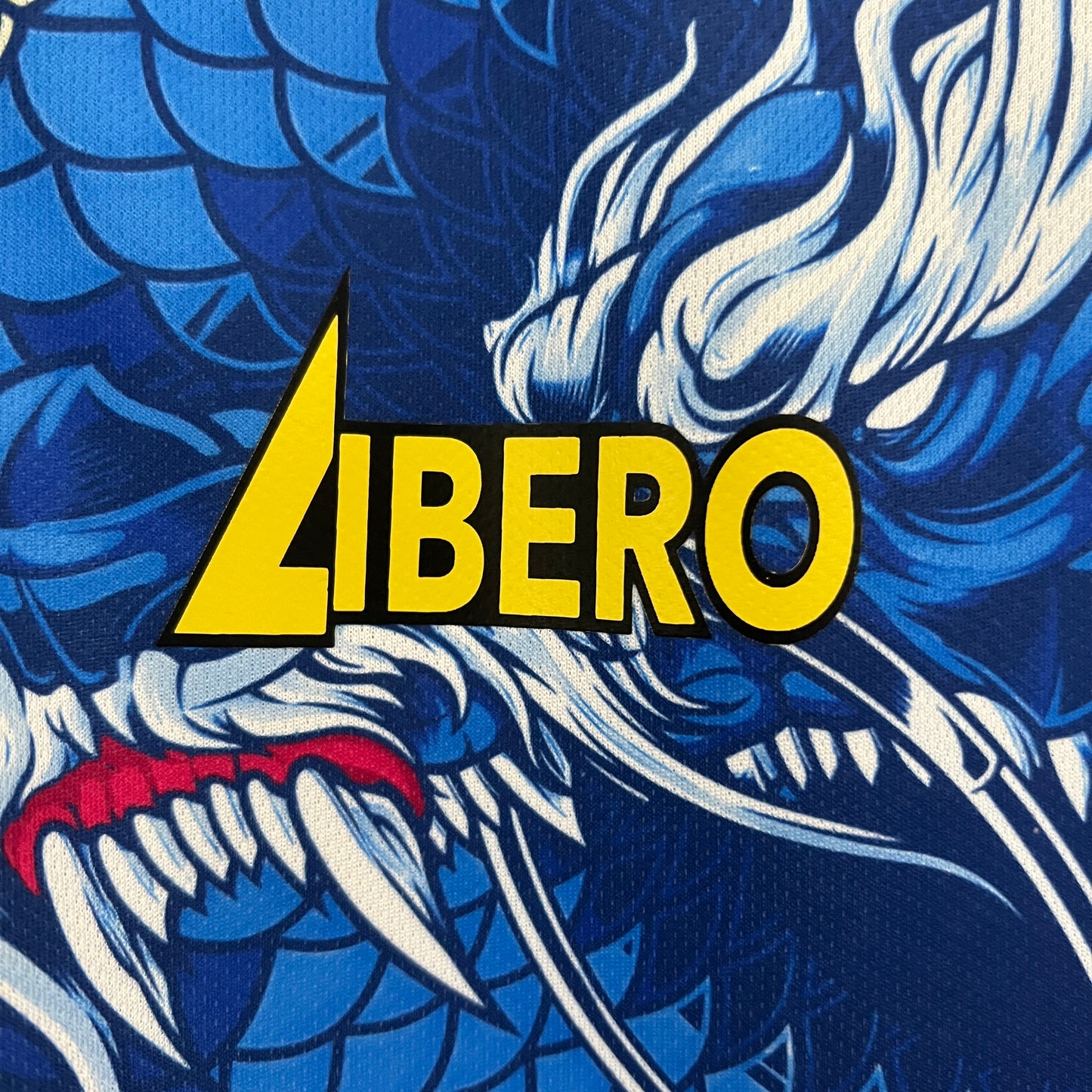 Japão Edição Especial 2024