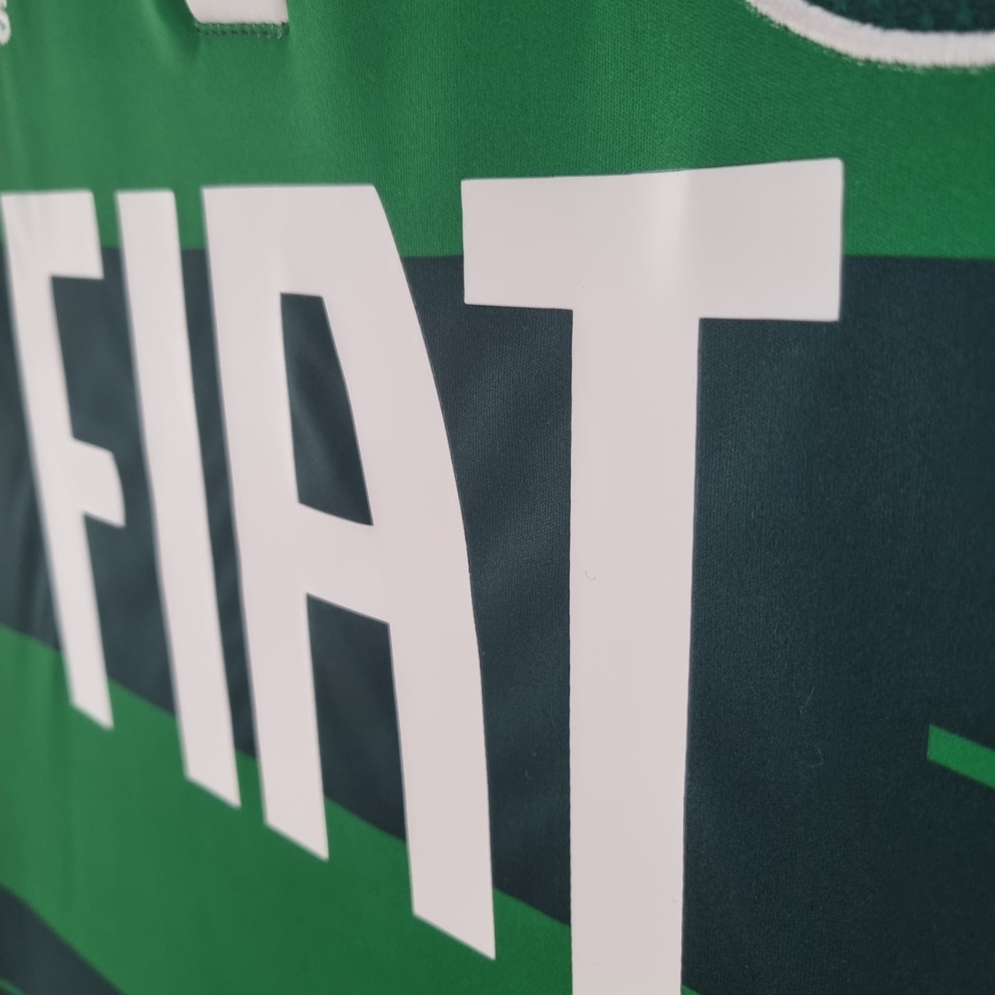 Palmeiras 10/11 Home