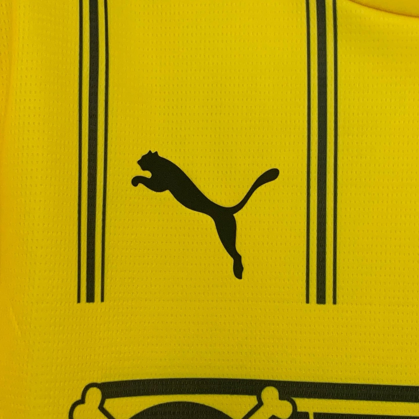 Dortmund X One Piece 25/26
