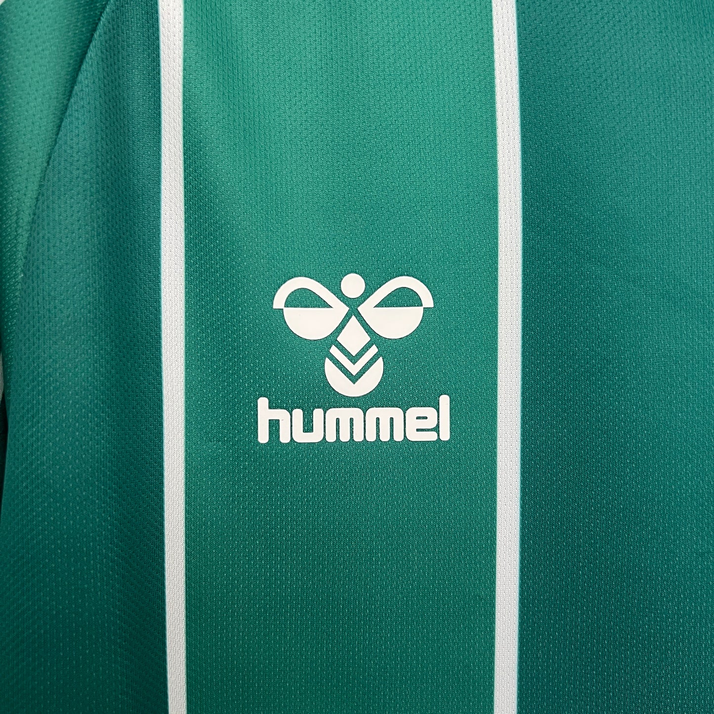 Werder Bremen 25/26 Home