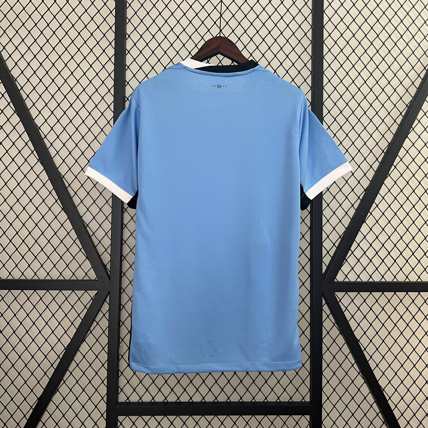 Uruguay Home 2024