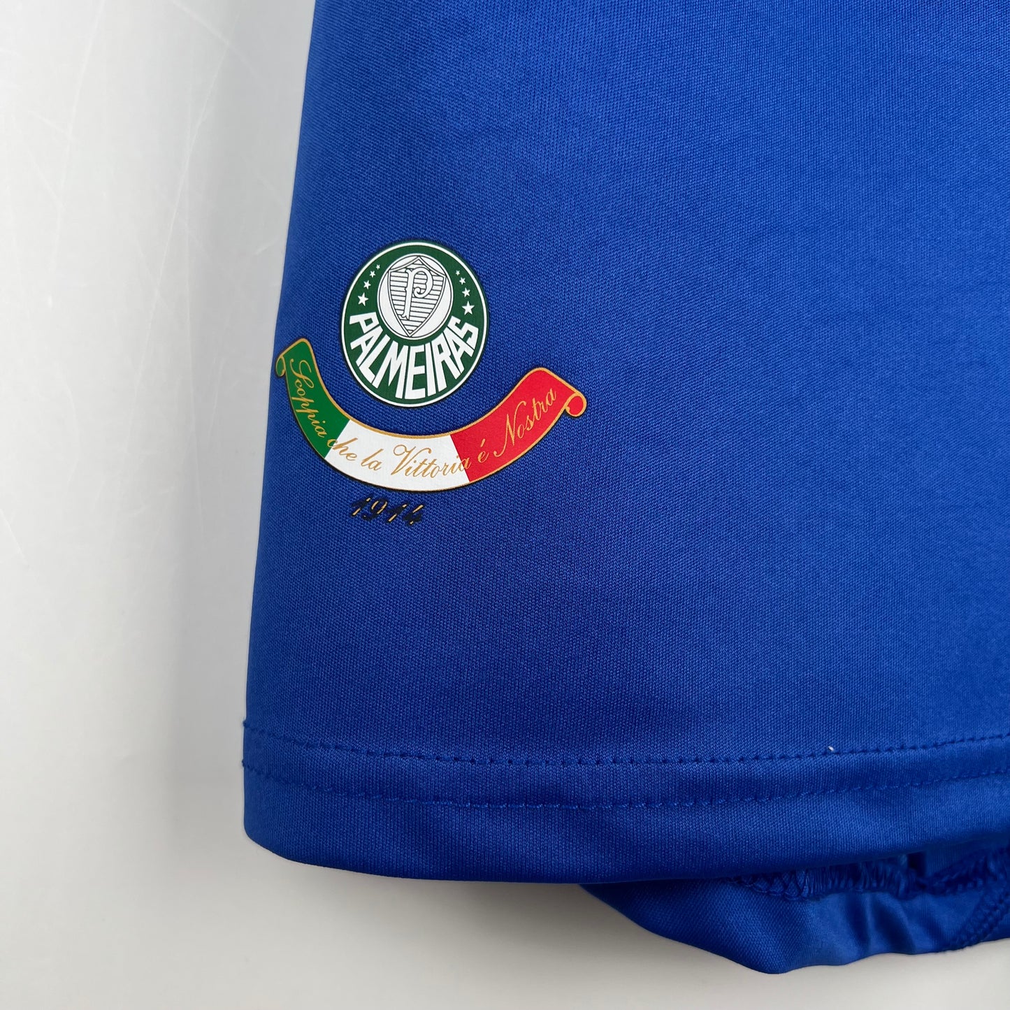 Palmeiras 2009