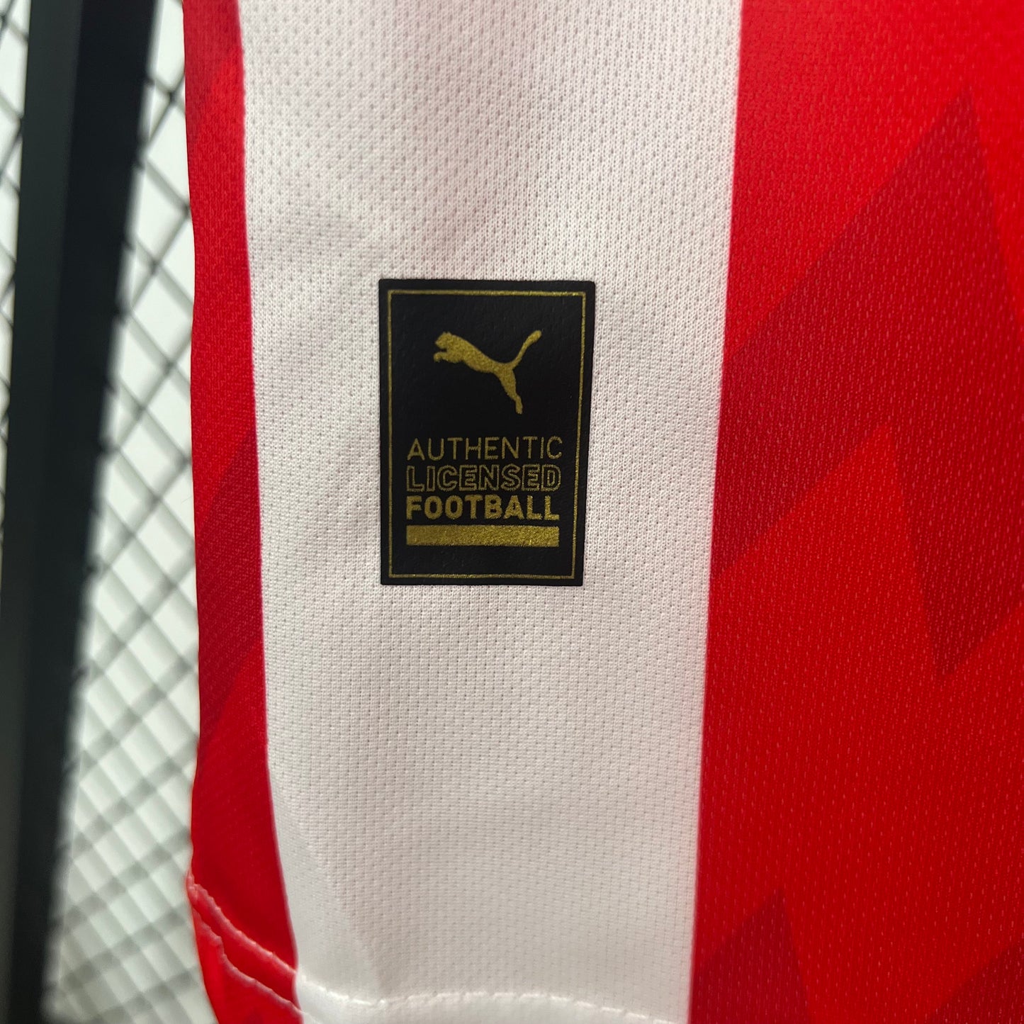 PSV 25/26 Home