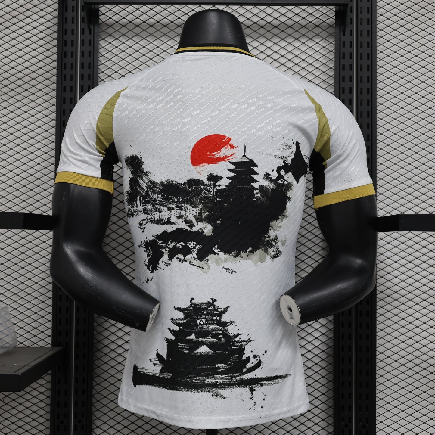 Japan Special Edition 2024 V