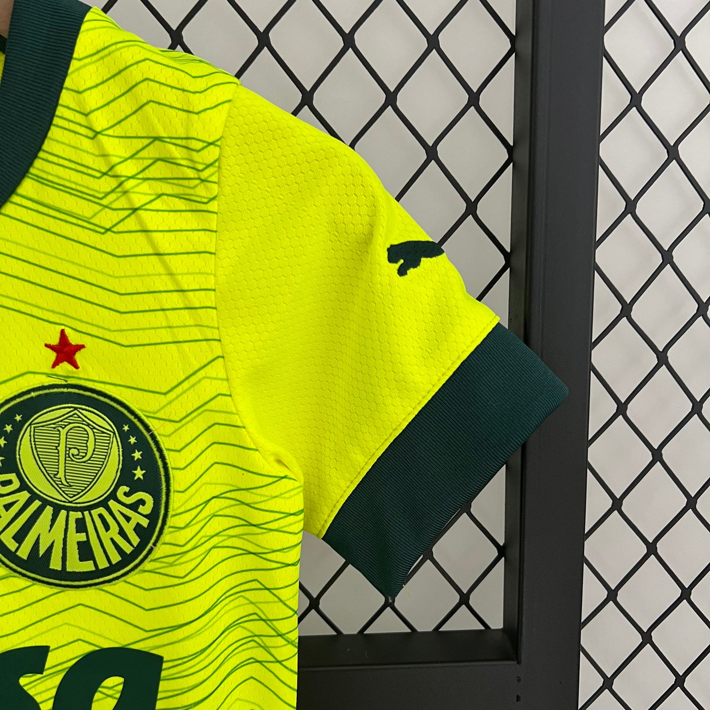 Palmeiras 23/24 Third