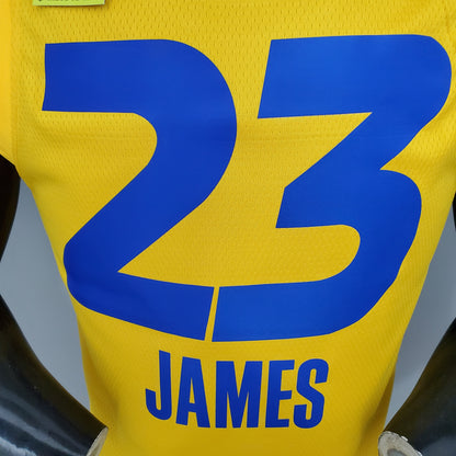 NBA All Stars 2021 Team LeBron