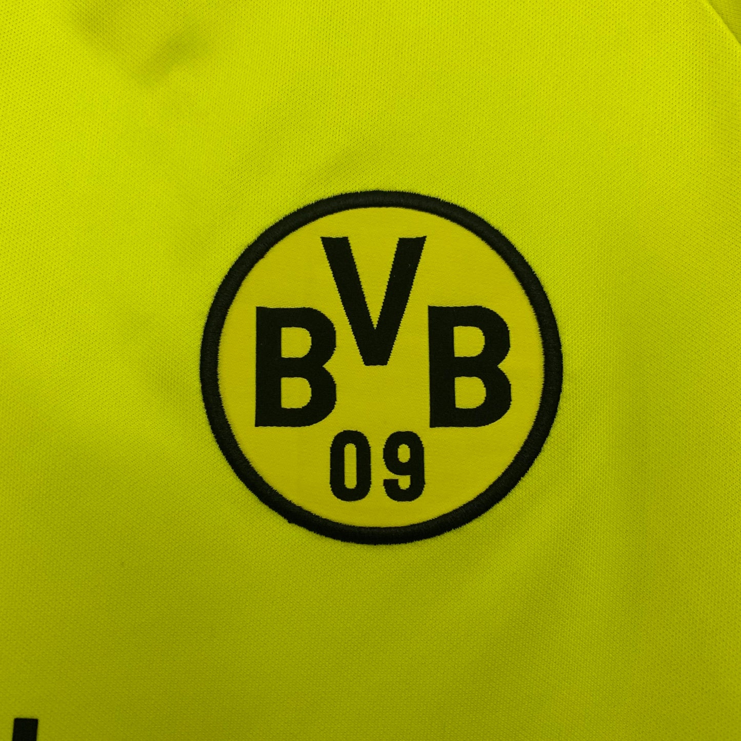 Dortmund 95/96 Home