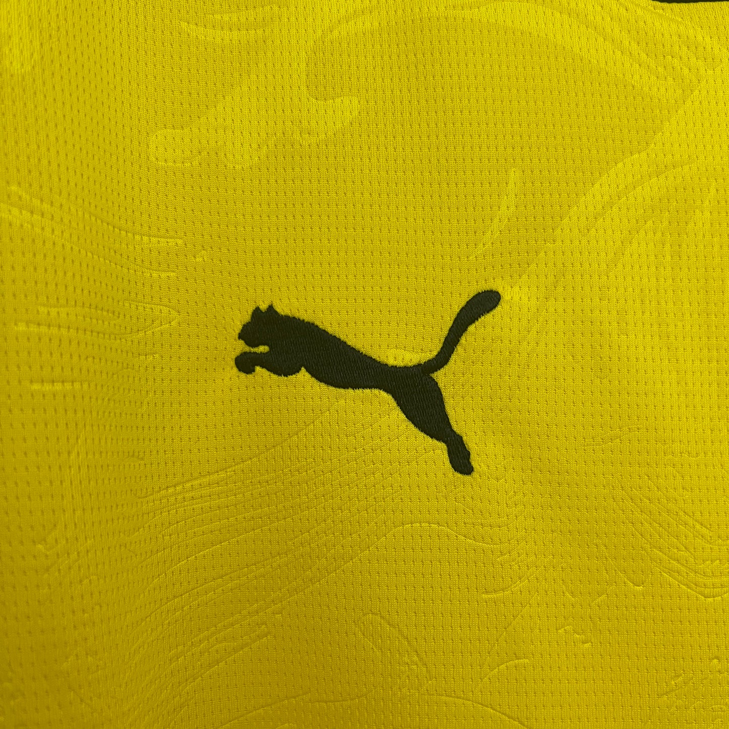 B. Dortmund 25 /26 Edição Especial