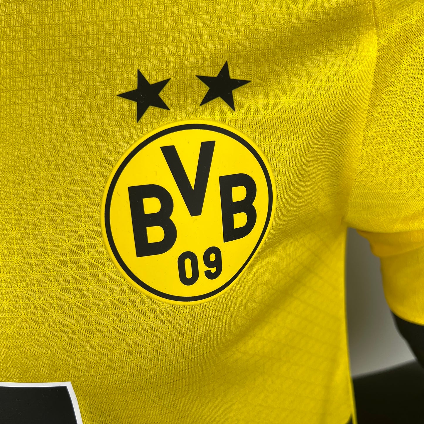 Dortmund 23/24 Home