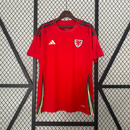 País de Gales Home 2024