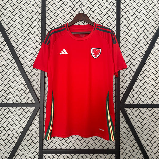 País de Gales Home 2024