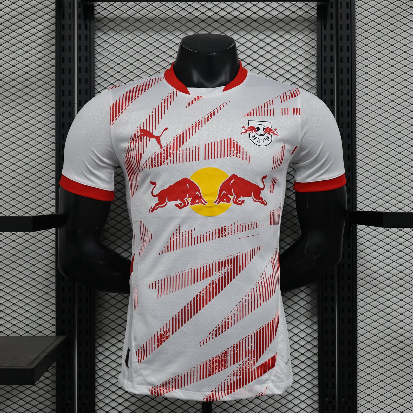 Leipzid Home Player Version 24/25