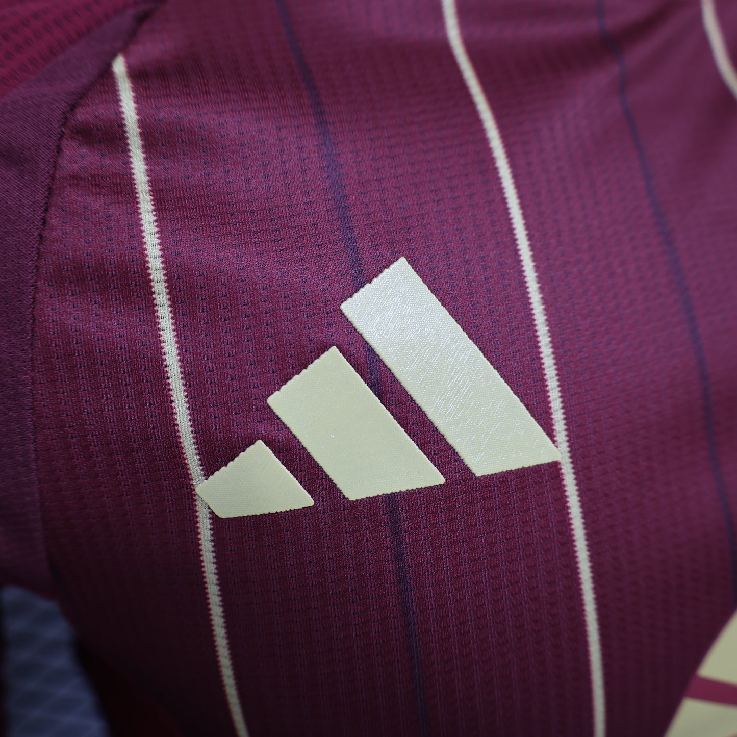 AS Roma Home 24/25