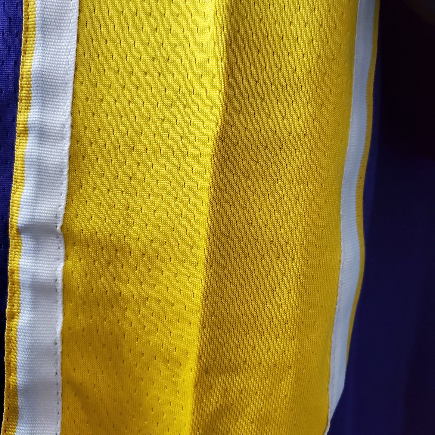 LA Lakers Purple