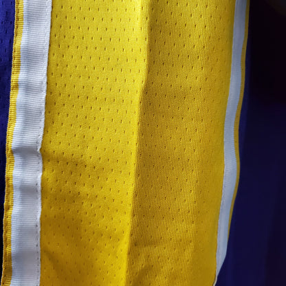 LA Lakers Purple