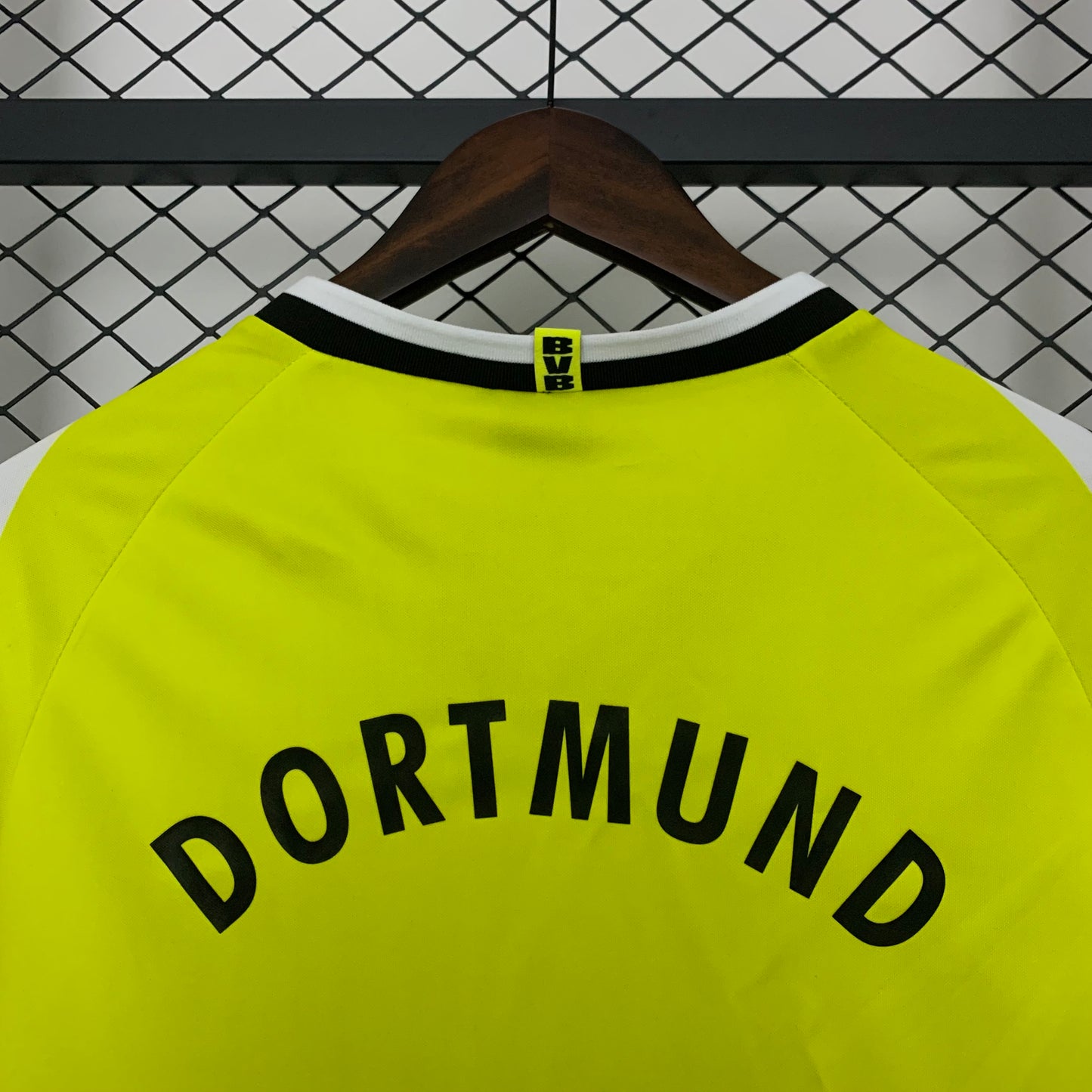 Dortmund 95/96 Home