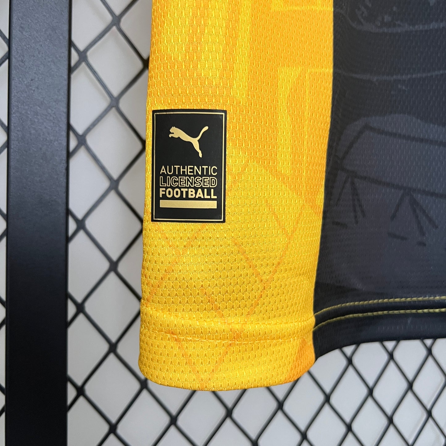 Dortmund 24/25 | Special Edition