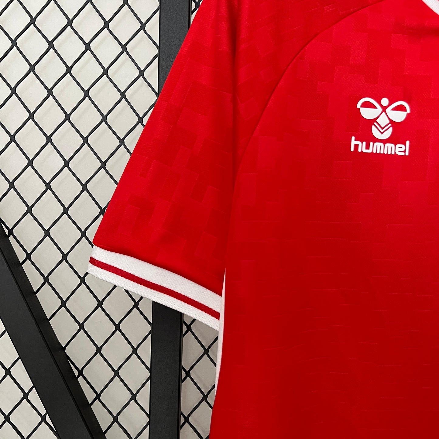 Dinamarca Home 2024