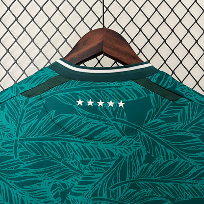 Santiago Wanderers Home 24/25