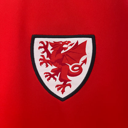 País de Gales Home 2024