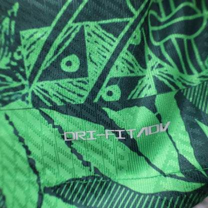 Nigeria 2023 Green