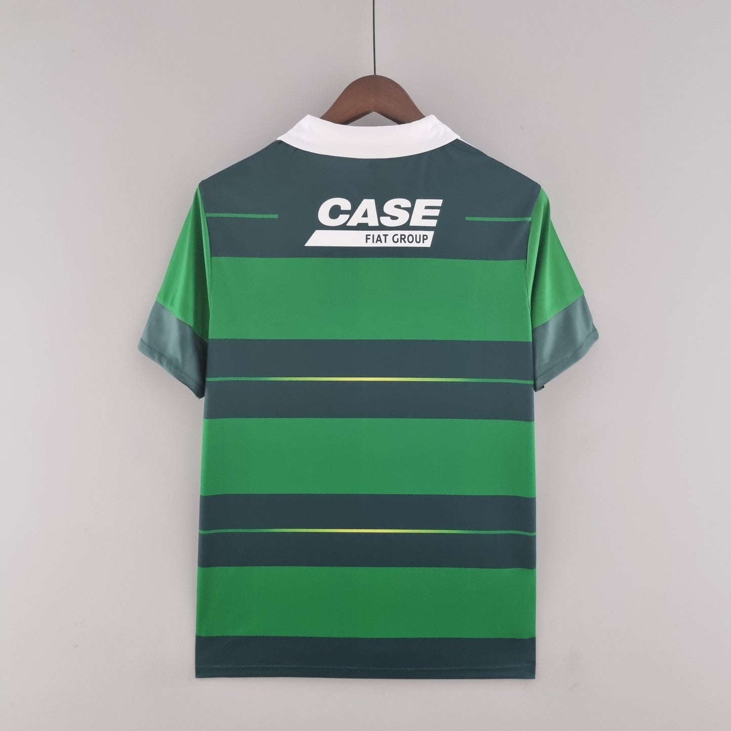 Palmeiras 10/11 Home