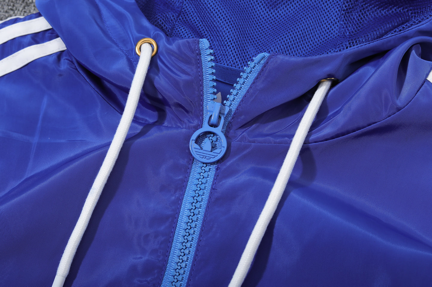 Lyon Windbreaker 23/24