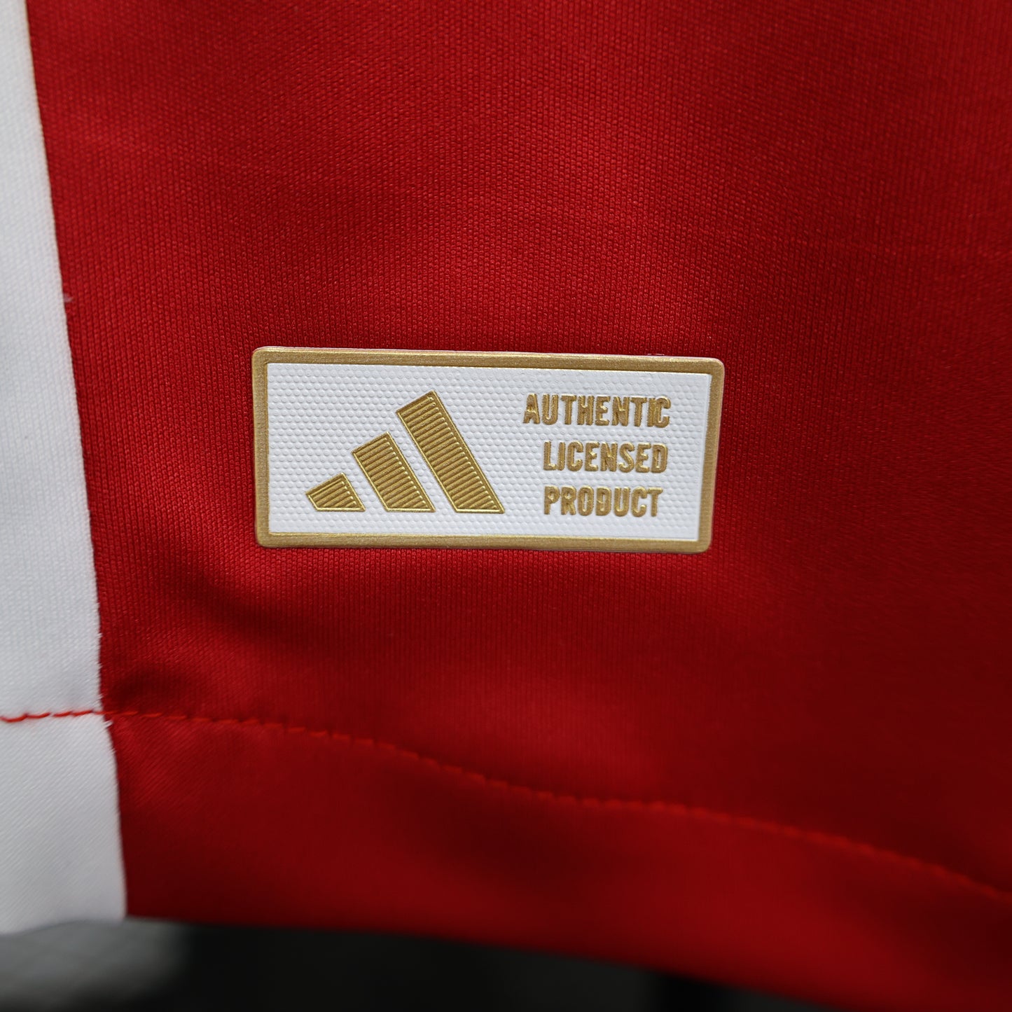 Ajax Home 24/25