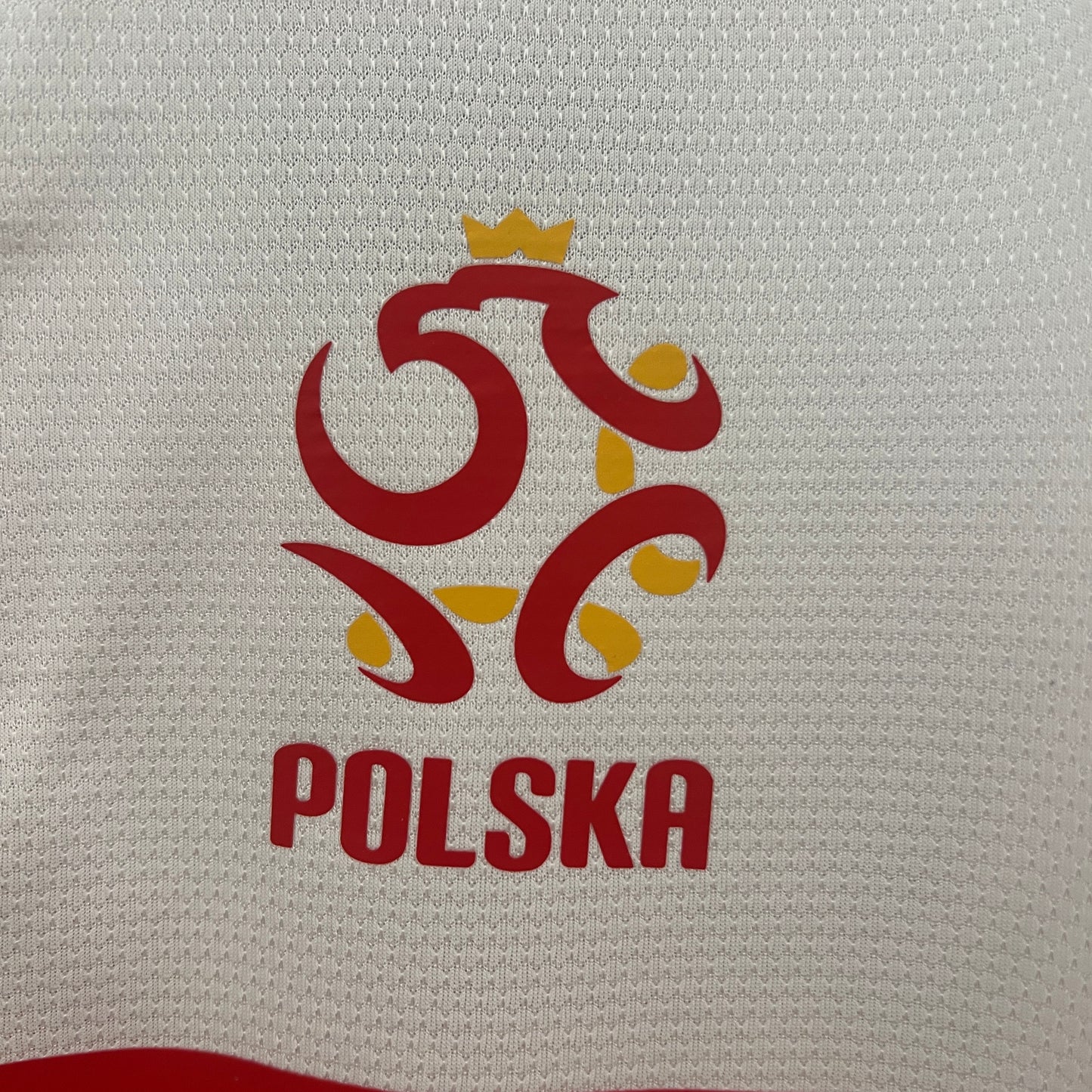 Polónia 2012 Home