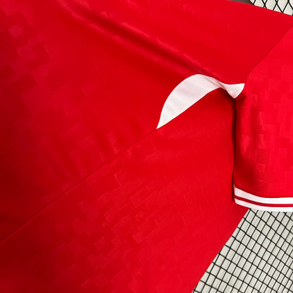 Dinamarca Home 2024