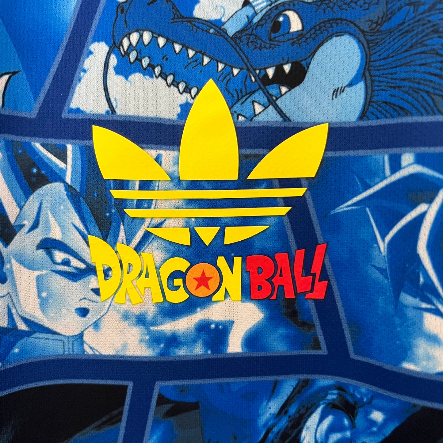 Japão Edição Especial 2024