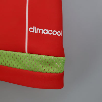 Wales 15/16 Home